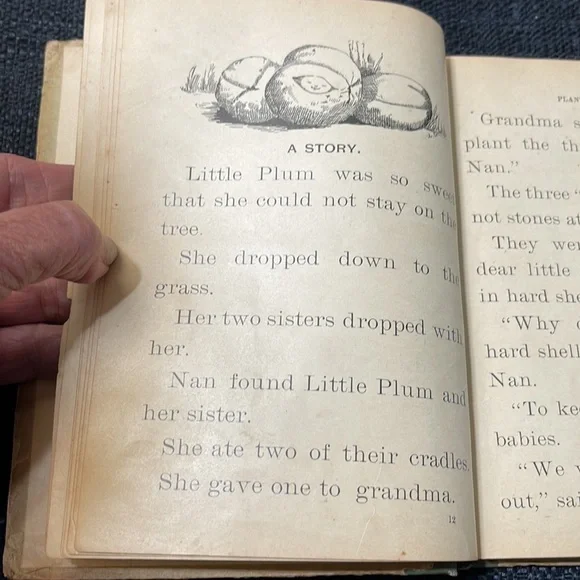 First Edition (1898) “Plant Babies and Their Cradles”, Educational Pub. Co. - Picture 9 of 15
